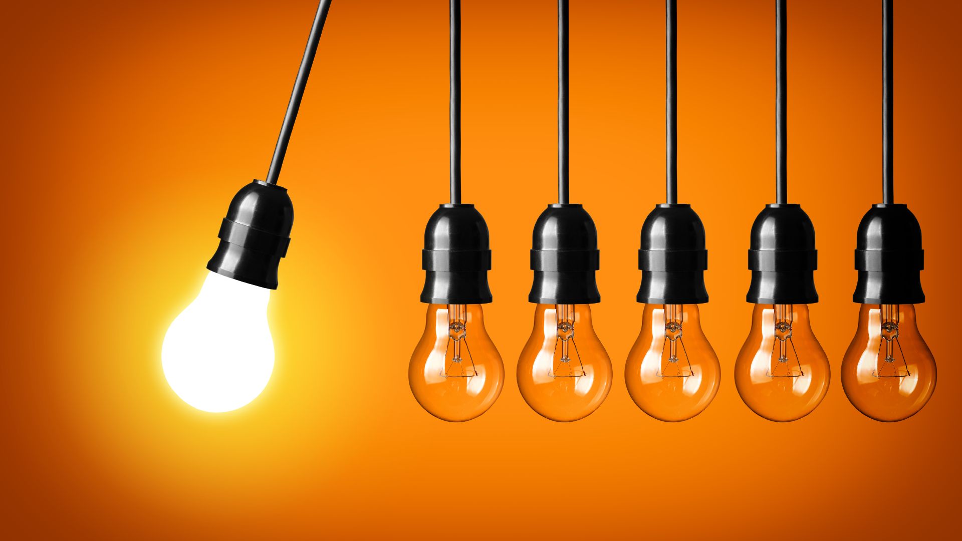 Curiosidade: o segredo para empreender com sucesso