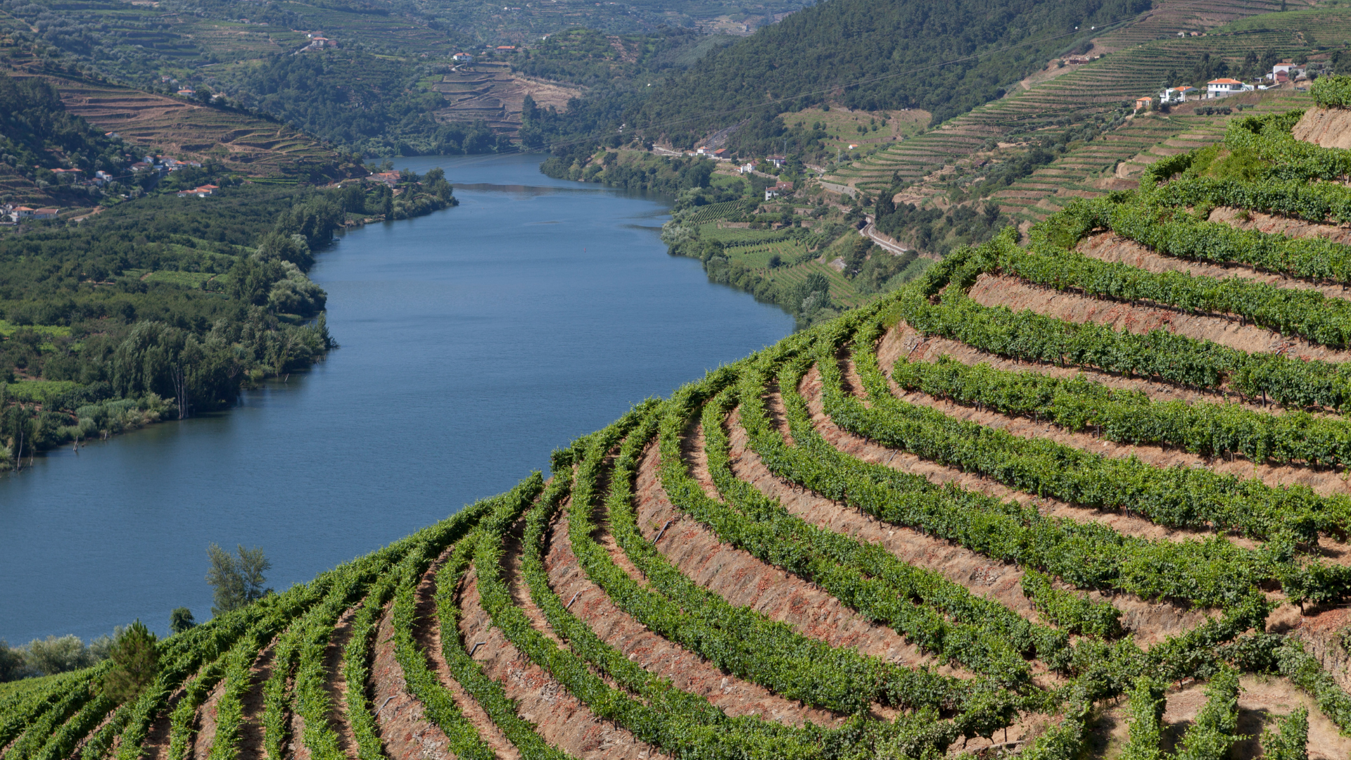 Tendências do Mercado Imobiliário de Luxo em Portugal para 2025